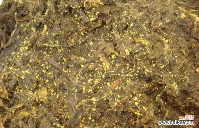 黑茶怎样喝才能够减肥 黑茶真的能减肥吗？