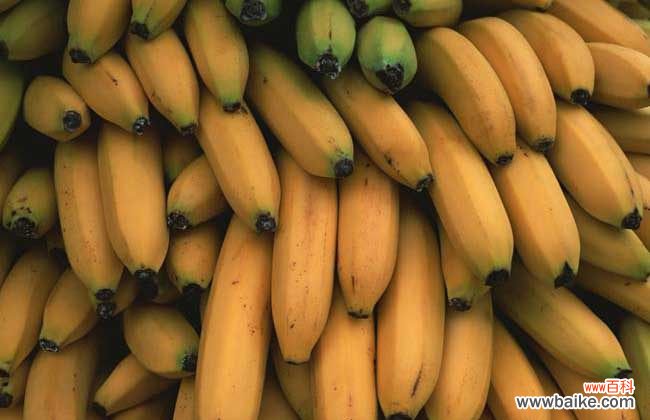 一天吃五个香蕉的后果 香蕉一天吃几个最好?