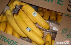 一天吃五个香蕉的后果 香蕉一天吃几个最好？