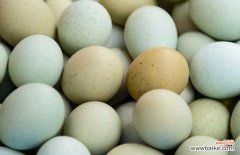 乌鸡蛋不适合什么人吃 乌鸡蛋和普通鸡蛋的区别