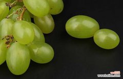 提子做葡萄酒的方法 提子能做葡萄酒吗？