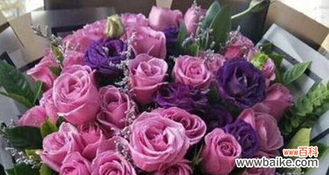 探寻玫瑰花的花语及其背后的品格意义 玫瑰花