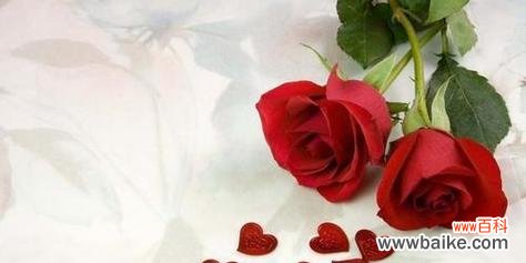 87朵玫瑰花的花语是什么?如何正确表达爱意?