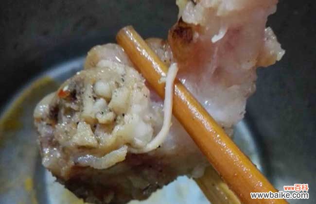 人体感染猪肉绦虫症状 猪肉绦虫有哪些危害？