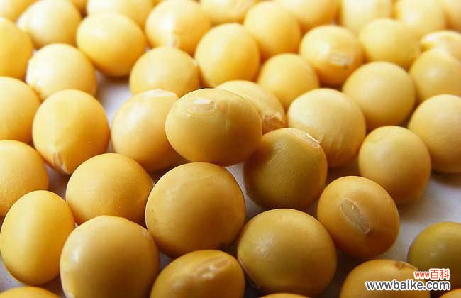 大豆异黄酮十大名牌 大豆异黄酮哪个牌子好？