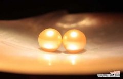 金色珍珠里外都是金色吗 金珍珠真假鉴别方法