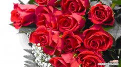 揭开玫瑰花背后的秘密与传说 玫瑰朵数的意义与象征