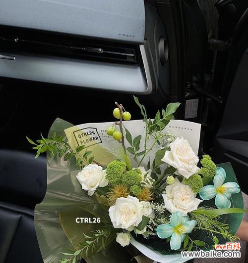 橄榄花代表什么?橄榄花的象征意义有哪些常见问题?