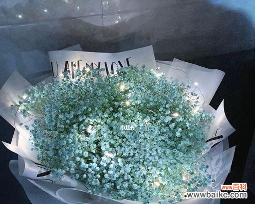 传递爱与希望的完美礼物 寄托美好祝愿——送满天星花束的含义