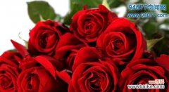 探索玫瑰花的历史 玫瑰花的象征意义及文化内涵