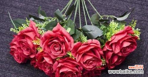 揭示玫瑰花背后的深意 玫瑰花的寓意与花语