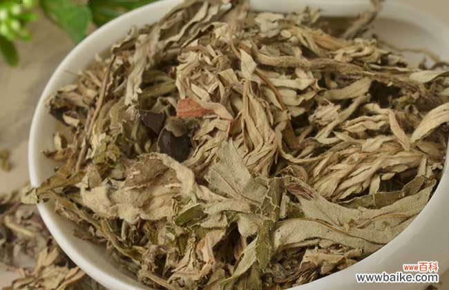 艾叶加红花泡脚的功效 艾叶红花泡脚的好处