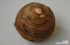 用手洗芋头手痒怎么办 芋头去皮时手痒怎么办？