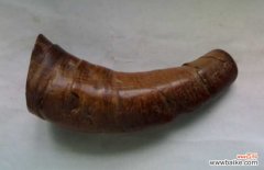 最快鉴定犀牛角的方法 犀牛角的鉴别方法