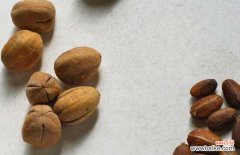 中药巴豆哪里有卖 巴豆哪里有卖的？