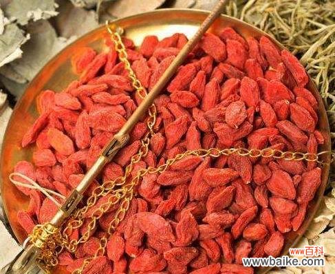 枸杞的花语是什么?有哪些关于枸杞的传说故事?