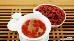 枸杞的花语是什么？有哪些关于枸杞的传说故事？