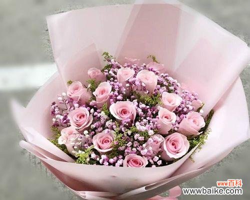 揭秘玫瑰花的语言——多少朵代表什么 玫瑰花语的含义及象征