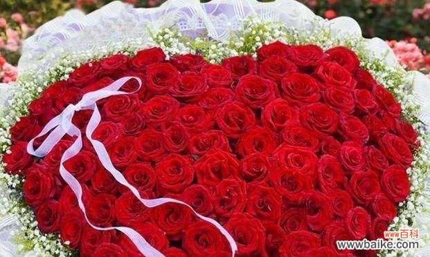 以玫瑰花几朵代表的含义是什么 玫瑰花的象征意义