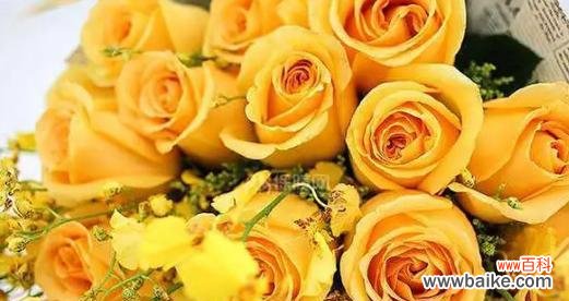 12朵玫瑰花的花语是什么？送花时需要注意什么？