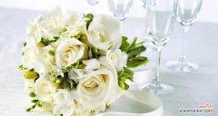 14朵玫瑰的花语是什么？代表了哪些情感含义？