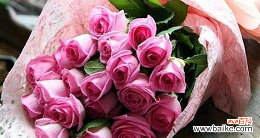 15朵玫瑰的花语是什么?如何正确表达爱意?