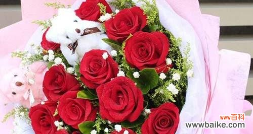 16朵红玫瑰的花语含义是什么？如何正确表达爱意？