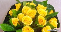 16朵黄玫瑰的花语是什么？送花时需要注意什么？