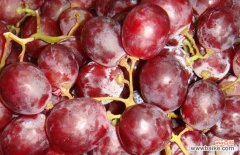 提子洗不干净 提子怎么洗才干净？