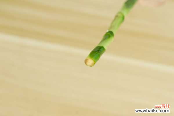 富贵竹茎秆皱了怎么办