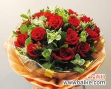 传递爱情与祝福的花语 玫瑰花的19朵代表的意义