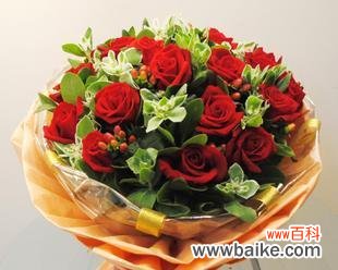 传递爱情与祝福的花语 玫瑰花的19朵代表的意义