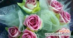 玫瑰花数量所代表的不同含义 玫瑰花的花语与数量
