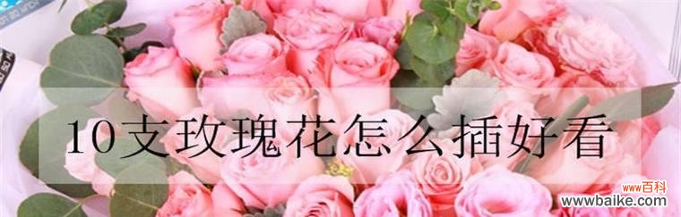 了解玫瑰花的花语和颜色 玫瑰花的象征意义及其分类