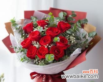 十一朵玫瑰的情感传递与象征意义 玫瑰花十一朵的深意