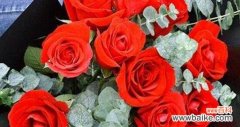 探索玫瑰花数量所代表的含义 玫瑰花数量的象征意义