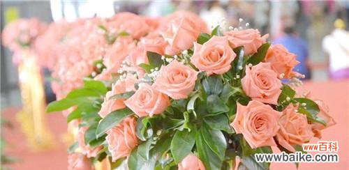 揭开玫瑰花背后的秘密 花语之谜