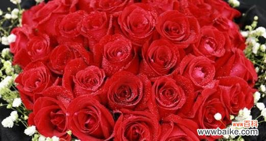 19朵玫瑰花语是什么意思?送花时需要注意什么?