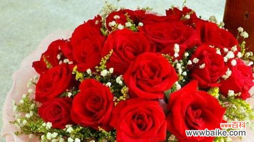 19朵玫瑰花代表什么含义?花语解读及送花建议?