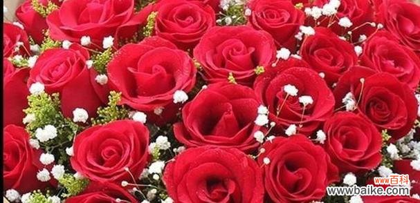 20朵红玫瑰的花语是什么？送花时需要注意什么？