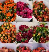 20朵玫瑰花语是什么意思？如何正确表达爱意？