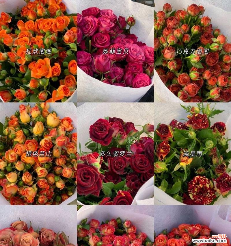 20朵玫瑰花语是什么意思？如何正确表达爱意？