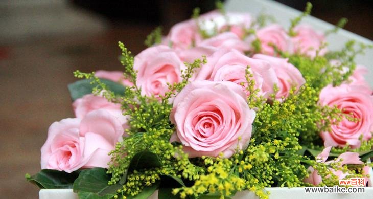 21朵玫瑰的花语含义是什么？送花时需要注意什么？