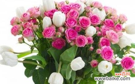 26朵玫瑰花语是什么？含义有哪些？