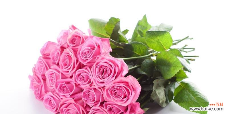 26朵玫瑰花语是什么？送花时需要注意什么？