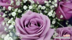 30朵玫瑰代表什么花语？花语背后的含义是什么？