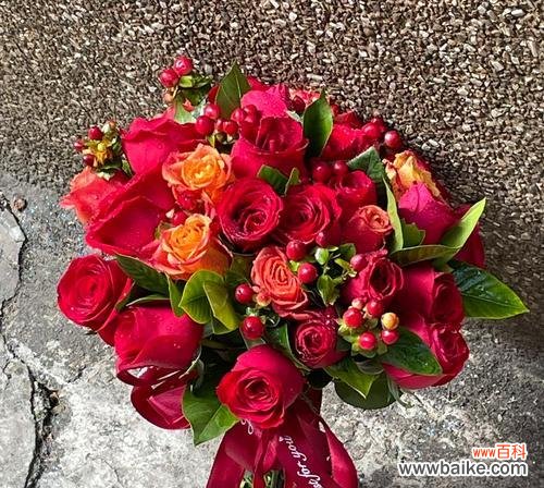 33朵红玫瑰代表什么含义？花语解读常见问题解答？