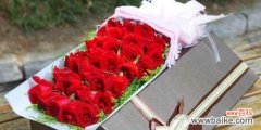 33朵红玫瑰代表什么含义？花语解读常见问题解答？
