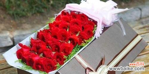 33朵红玫瑰代表什么含义？花语解读常见问题解答？