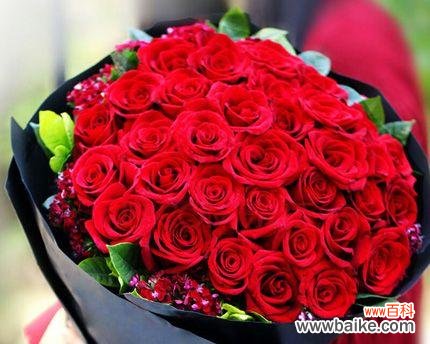 33朵红玫瑰代表什么含义？花语解读常见问题解答？